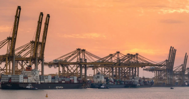 DP World implementará proyecto de prueba para analizar contenedores en puerto de Emiratos Árabes Unidos