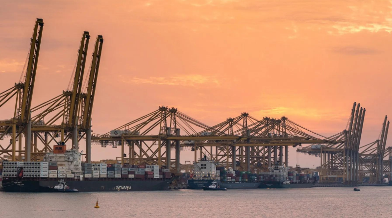 DP World implementará proyecto de prueba para analizar contenedores en puerto de Emiratos Árabes Unidos